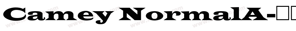 Camey NormalA字体转换
